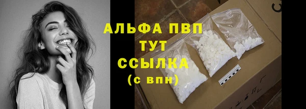 гашик Новокубанск