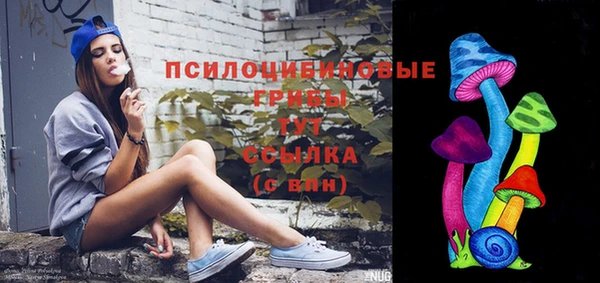 амф Белоозёрский