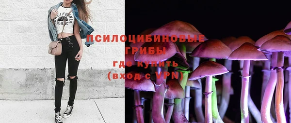 винт Белокуриха