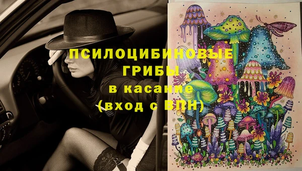 винт Белокуриха