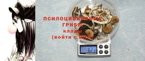 винт Белокуриха